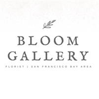  Bloom Gallery  Flowers